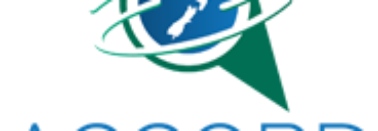 ACCORD INTERNATIONAL FREIGHT LTD