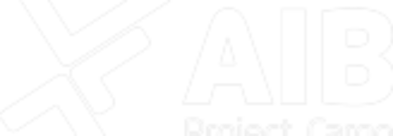 AIB INTERNACIONAL