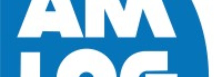 AMERICAN LOGISTICS S.R.L. (AMLOG)