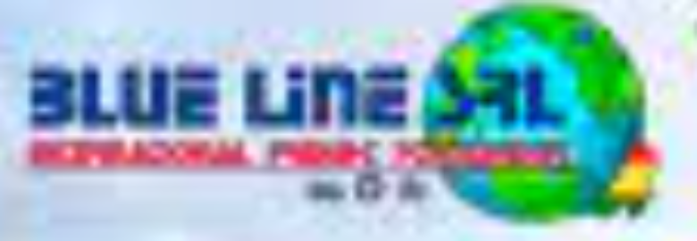 BLUE LINE INTERNATIONAL FORWARDER