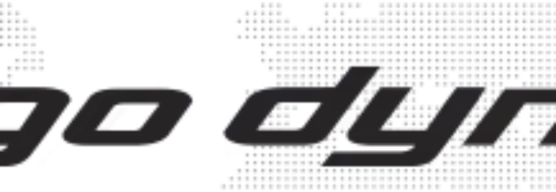 CARGO DYNAMICS LOGISTICS INC.
