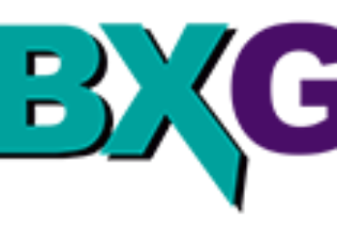 CARIBEX WORLDWIDE INC