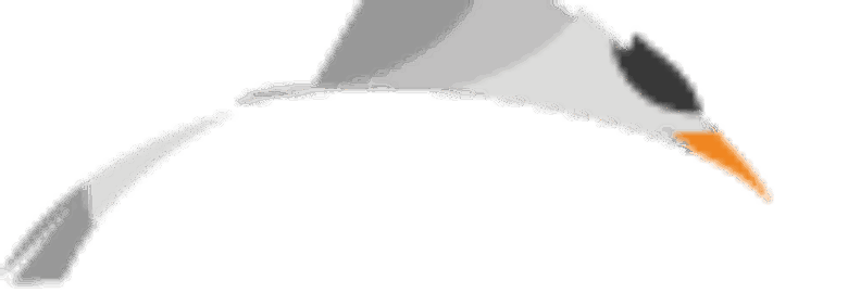 CASPIAN INTERNATIONAL COMPANY