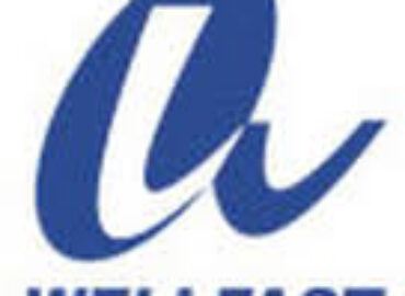 CHINA WELLFAST LOGISTICS CO LTD