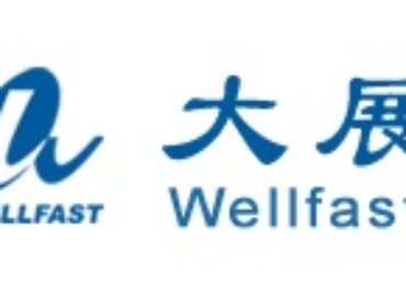 CHINA WELLFAST LOGISTICS CO LTD