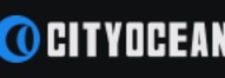 CITY OCEAN LOGISTICS CO.,LTD