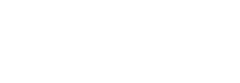 CNT CARGO, CHINA NEW TIMES GLOBAL FREIGHT LTD.