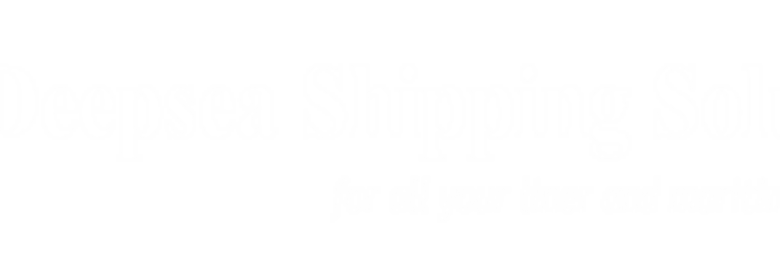 DEEP SEA SHIPPING SOLUTIONS LTD