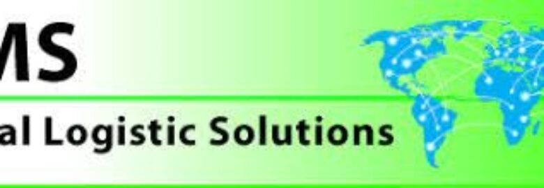 DMS INTERNATIONAL LTD