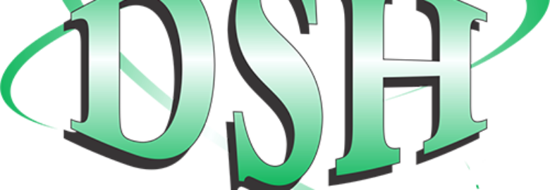 DSH GLOBAL LOGISTICS