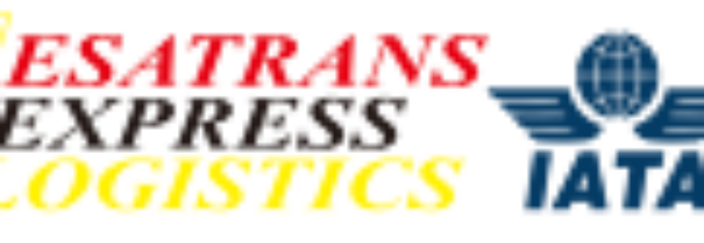 ESATRANS INDONESIA PT