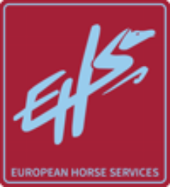 EXPRESS HANDLING SERVICES
