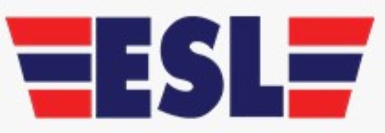 EXPRESS SHIPPING & LOGISTICS