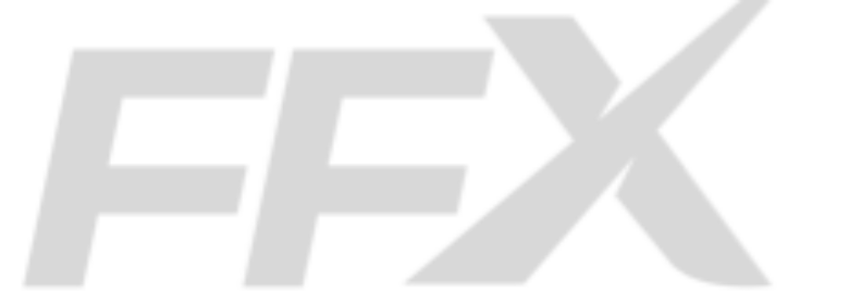 FAST FREIFGT EXPEDITORS – FFX