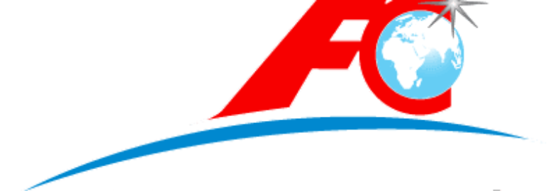 FC CARGO TEAM SRL