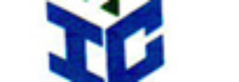 FIRST INDIAN CARGO PVT LTD