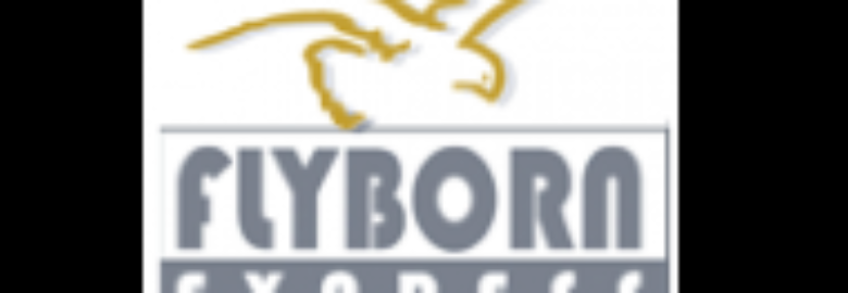 FLYBORN EXPRESS WORLDWIDE