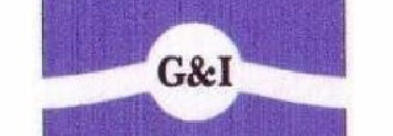 GEOINSPECT LTD