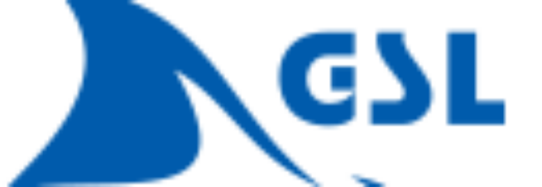 GLOBAL STAR LOGISTICS CO LTD