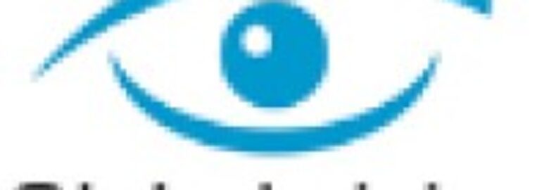 GLOBAL VISION SERVICE SRL