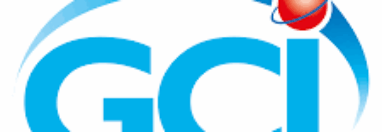 GOLD COIN INTERNATIONAL CO LTD
