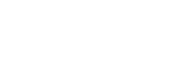 GOODWILL AVIATION SERVICES LTD.
