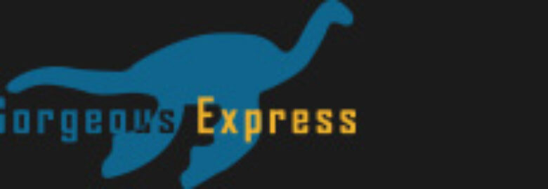 GORGEOUS EXPRESS (SHANGHAI) LTD