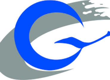 GREAT CHINA TRANSPORTATION CO LTD