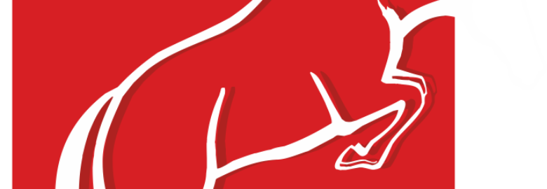 HORSE TRANS CARGO LTD.