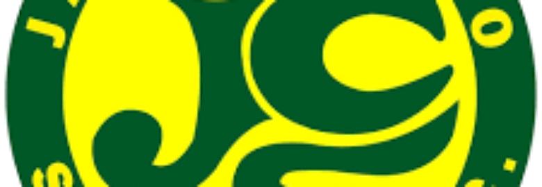 JADES CARGO SERVICES INC