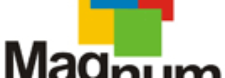 MAGNUM LOGISTICS SA DE CV