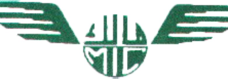 MALIK INTERNATIONAL CARGO