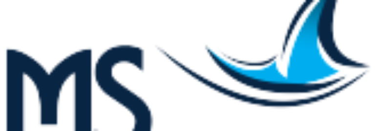 MS LOGISTIC SERVICES GROUP