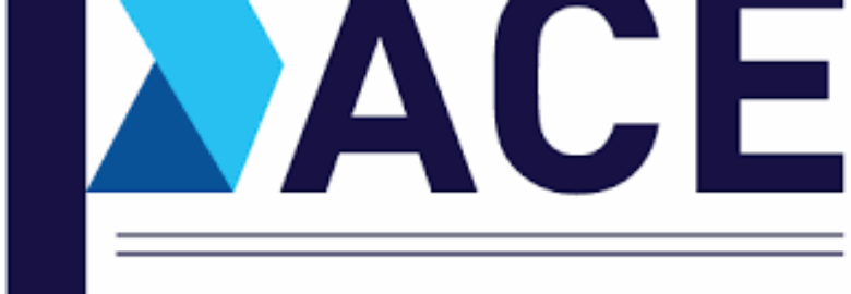 PACE GLOBAL FREIGHT SOLUTIONS LTD
