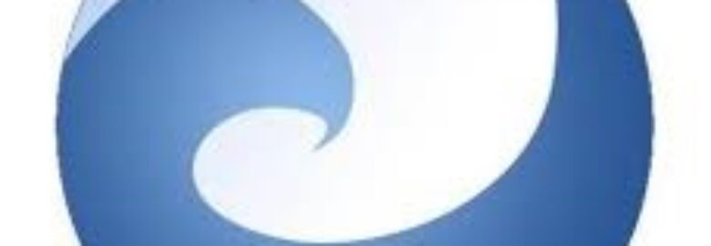 PNG SHIPPING AGENCIES LTD