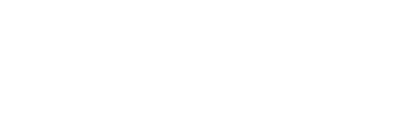 RAYSPEED CARGO & COURIER (PT RAYSPID INDONESIA)