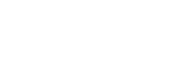 ROYALE INTERNATIONAL COURIERS PVT LTD