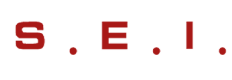 SEI SUN EXPRESS INTERNATIONAL LTD